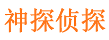 阳春侦探公司